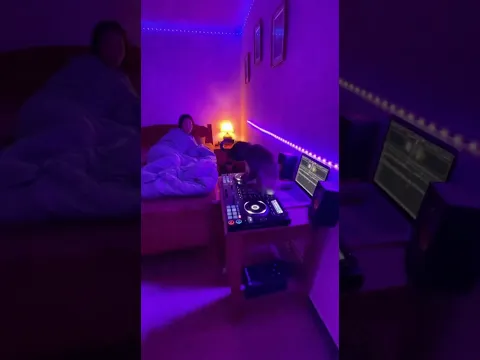 POV: Your Roommate Is A Monkey DJ