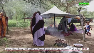 موريتانيا الأعمق: ضواحي مدينة اركيز في فصل الخريف