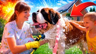 Happy Water Play with Dani and His Friendly Dog 💧🐶
