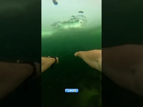 Berenang di Bawah Es Gagal Total!