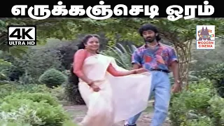 Erukkam Sediyoram S.P.பாலசுப்ரமணியம் S.ஜானகி பாடிய தெம்மாங்கு பாடல்  எருக்கஞ்செடி ஓரம்