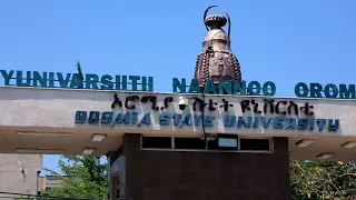 Waa'ee YNO Beektuu Laata?