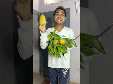 Ye Aam Chori ke Nahi hai 😢 - #cooking ##food #vlog #recipe #dailyvlog #comedy #mango #candy