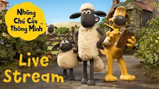Những Chú Cừu Thông Minh - LIVE STREAM