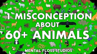 Misconceptions About 64 Different Animals | Mental Floss