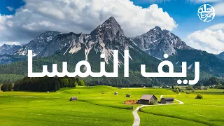 رحلة تأملية في طبيعة النمسا | من هالشتات إلى زيلامسي عبر أجمل قرى الريف النمساوي
