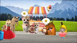 The Story of Elgato Dad : Episode 1 Where is Elgato Dad? 🍌🐱