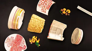 I bought the Nissin "Cup Noodles" Plastic Model Kit