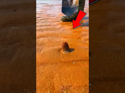 DO NOT Touch It ‼️ 😨 #shorts