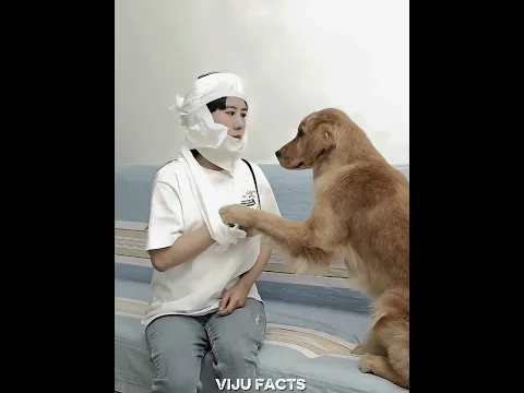 What is the normal relationship like between your pets #pets #cute #funny #dog #cutepup