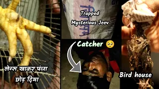 Catcher Trapped Mysterious Jeev in water hole | बोरा में फसा अदृश्यजीव | #petsvlog #birds #mystery