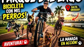 CICLISMO CON MIS PERROS  COMO PROFESIONALES 😱🦮🐕🚲