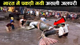 क्या जलपरी सच में इस दुनिया में होती है? is mermaids exist in real world ! mermaids ! unusual moment
