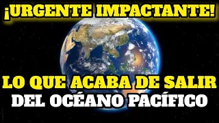 ¡Imágenes Impactantes! Mira Lo Que Salió Del Océano Pacífico Justo Ahora