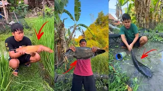 Nyeser Dan Tangkap Ikan Lele Albino Monster Belida Monster Dan Toman Monster Di Kobangan 