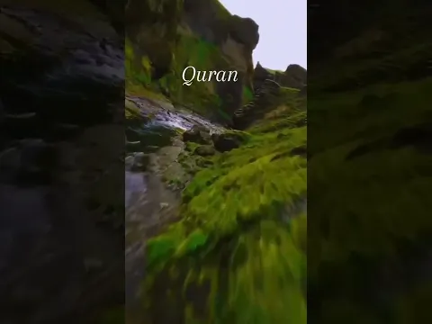 Surah Hajj ayat (73_77) With Urdu translation #Quran_translation #quran #quranshorts #sadik_islamic