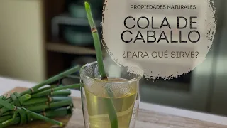 ¿Por qué la cola de caballo es una medicina milagrosa?
