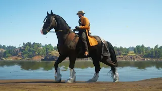 ESTE CABALLO NO PUEDE MORIR | RED DEAD REDEMPTION 2