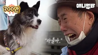 1년만에 자기를 두고 간 주인을 만난 강아지 반응이..ㅣDog’s Reaction After Seeing His Owner Who’ve Left Him In A Year