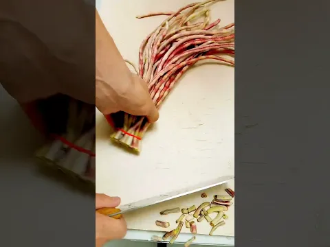 Fresh Long Bean Harvest | Perfect Picking Skills 🌿 #viral #satisfying #cuttingvhfo