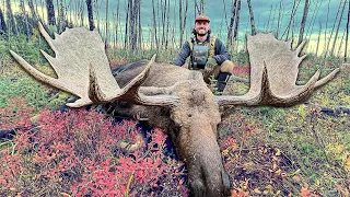 Hunting GIANT Bull Moose in Alaska | DIY Drop Camp Hunt | Mullet Man