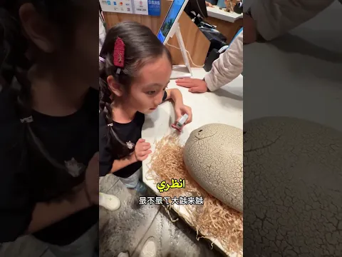 😍 خرج ديناصور صغير وجميل من البيضة!