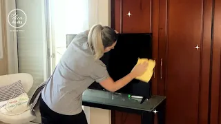 COMO LIMPAR TELA DE TV | FLÁVIA FERRARI