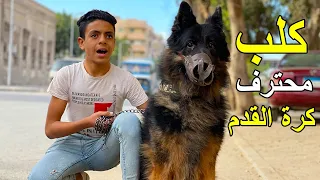 ولد يدرب كلبه علي مهارات كرة القدم .. فماذا فعل ؟