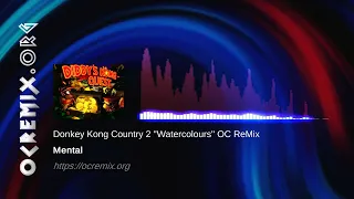 Donkey Kong Country 2 OC ReMix by Mental: "Watercolours" [Stickerbush Symphony] (#4427)
