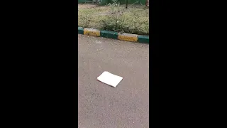 Kanha and Pihu ki masti