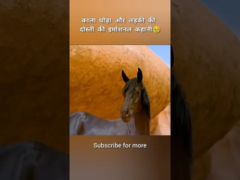 काला घोड़ा और लड़की की दोस्ती की इमोशनल कहानी🥹