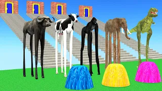 Choose the Right Mystery Door Longest Staircase with Cow Elephant Buffalo Gorilla Max Level LONG LEG