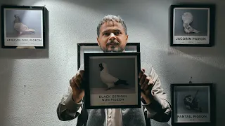     أهم فيديو لكل مربي حمام (راح يغيّر مستواك 100%)