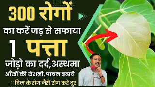😱🔥3 दिन सुबह खाली पेट पीपल का पत्ता खालो। बुढ़ापे तक कभी बीमार नहीं होंगे। 👉100 साल जीने का राज़।
