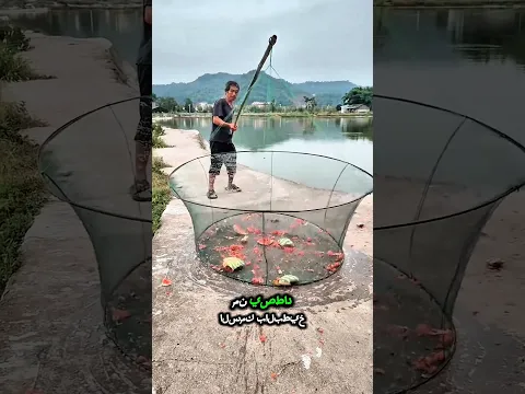والدي يصطاد مرة أخرى اليوم مع البطيخ في شبكته 🎣💦😍!! #shorts