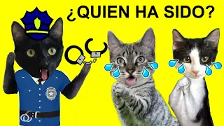 Gatos Luna y Estrella en ¿Quién tira la fuente un gato un perro o un hamster? / Videos de gatitos