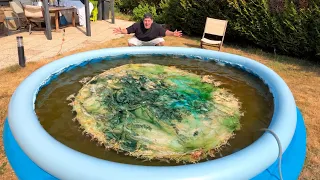 ON FAIT UN KOMBUCHA XXL (ÇA TOURNE MAL)