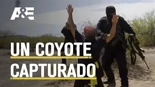 COYOTE EN EL DESIERTO - ¡ALTO FRONTERA! NUEVA TEMPORADA