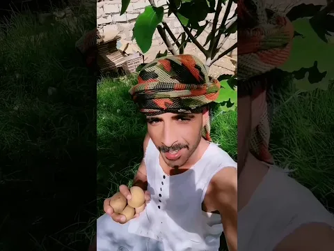 البطاطس ومكاسبها الرهيبه 😱ارخص مشروع