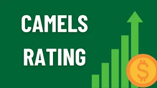 ?What Is the CAMELS Rating System
