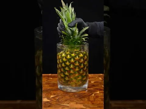 𝗠𝗲𝘅𝗶𝗰𝗮𝗻 𝗧𝗲𝗽𝗮𝗰𝗵𝗮 Recipe 🍍✨ | Refreshing Fermented Pineapple Drink #shorts