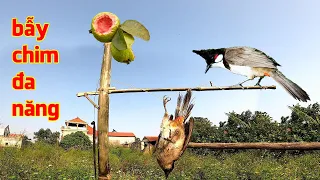 Cách làm b.ẫy chim đa năng bằng Tre, đơn giản hiệu quả