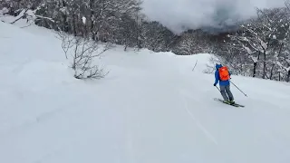 Peaceful Skiing On A Beautiful Powder Morning In Japan