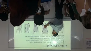 Anatomía Dentaria 31 de Marzo