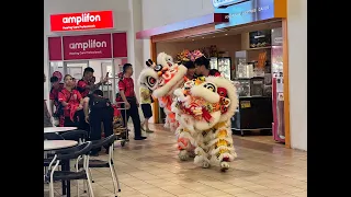 The Chinese Year Celebration Live