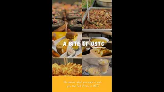 A Bite of USTC