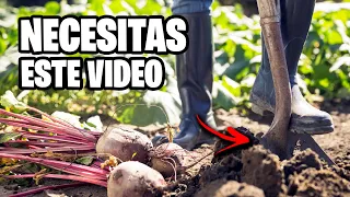 CALENDARIO de TAREAS de HUERTO y JARDIN para Todo el Año | La Huerta de Ivan