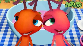 ANTIKS  | Splashdown Clowns | Funny Cartoons For All the family