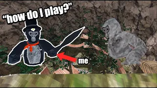 Pretending to be a New Player in Gorilla Tag VR (Oculus Quest 2)
