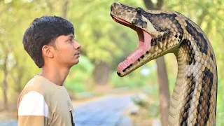 Anaconda Snake Attack In Real Life 2